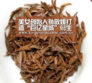 开云体育数据中心