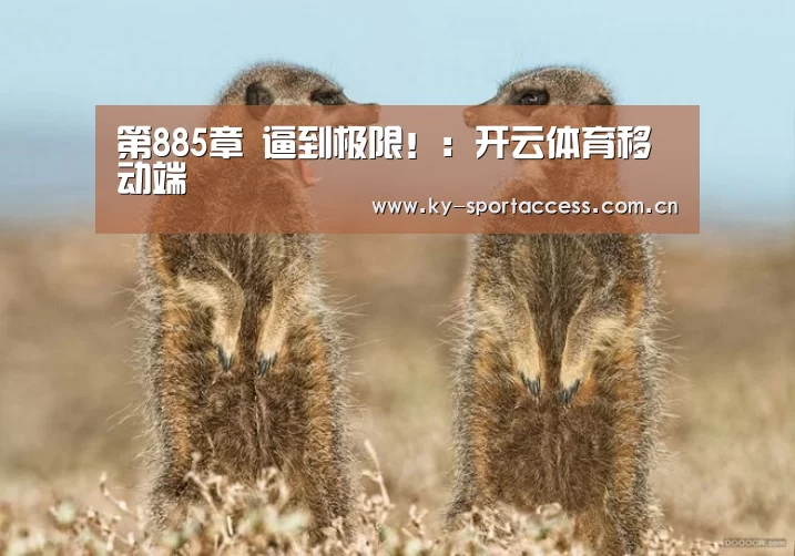 开云体育官网