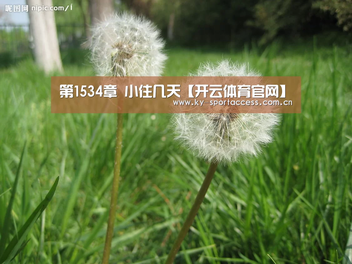 开云体育数据