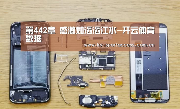第442章 感激如滔滔江水-开云体育数据(图3) 开云体育数据中心