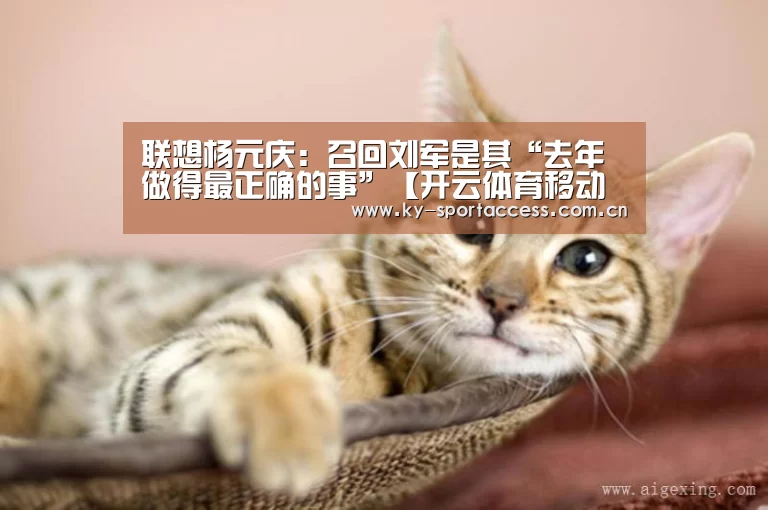联想杨元庆:召回刘军是其“去年做得最正确的事”【开云体育移动端】(图1) 开云体育数据中心